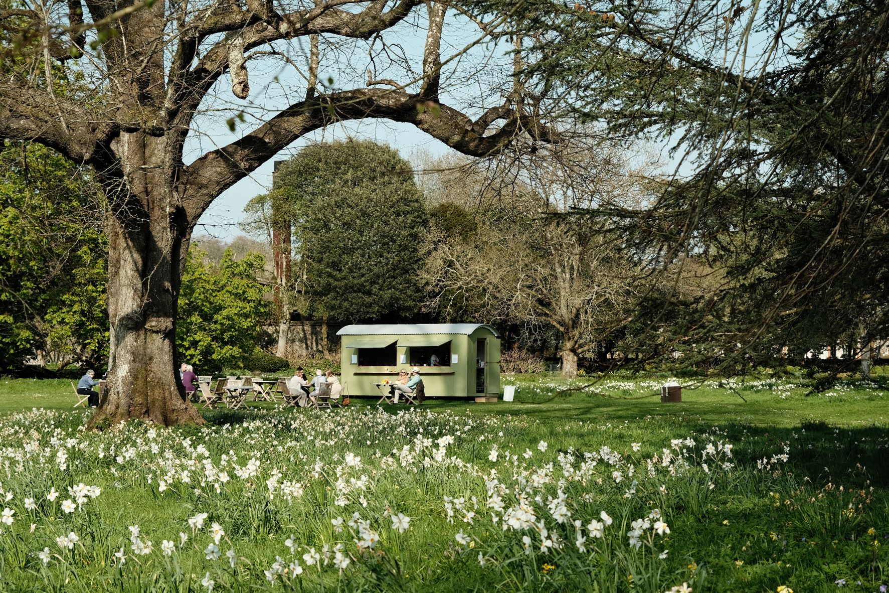 Kodachrome film recipe sample photo