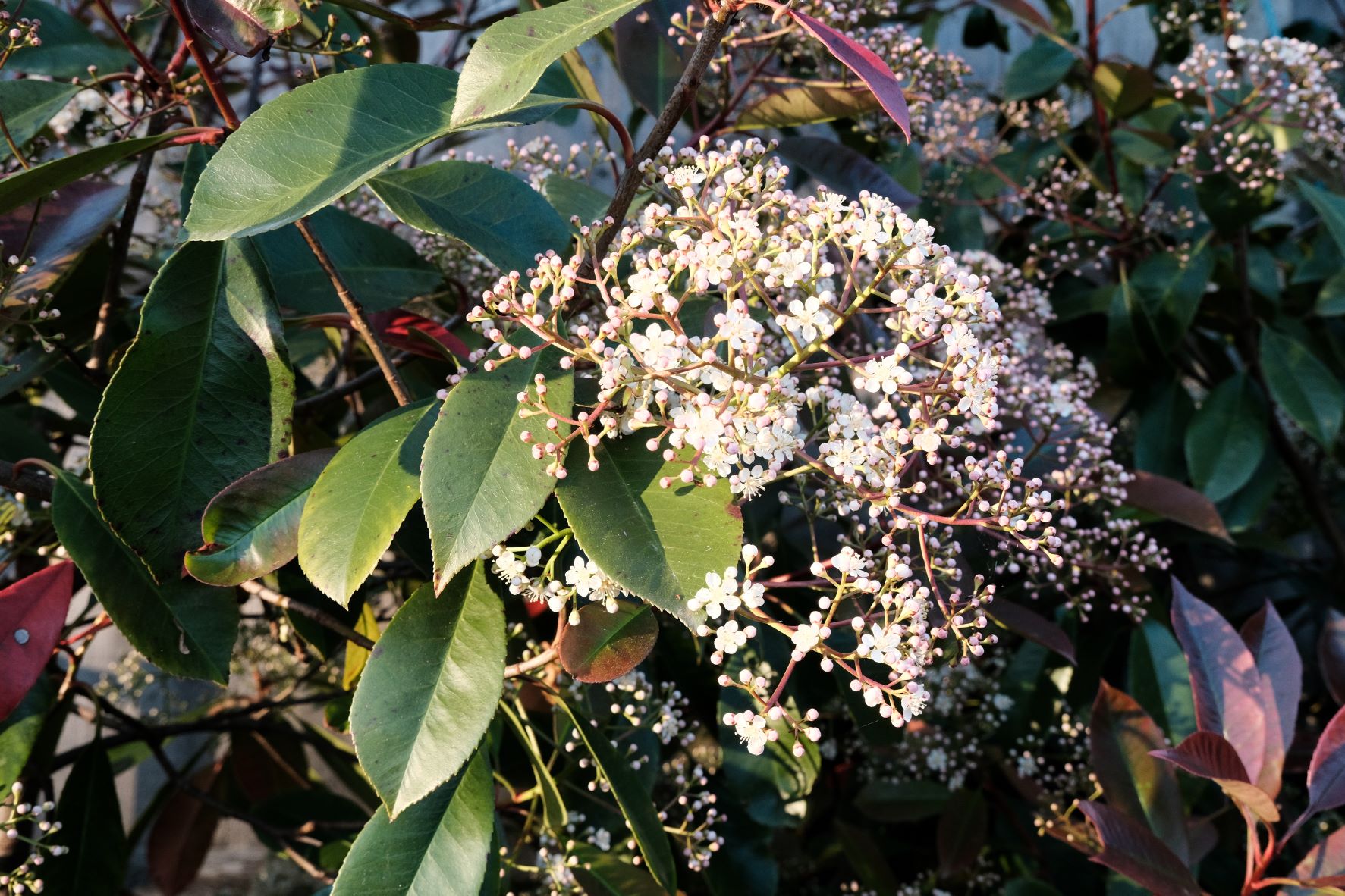 Kodak Ektar film recipe sample photo