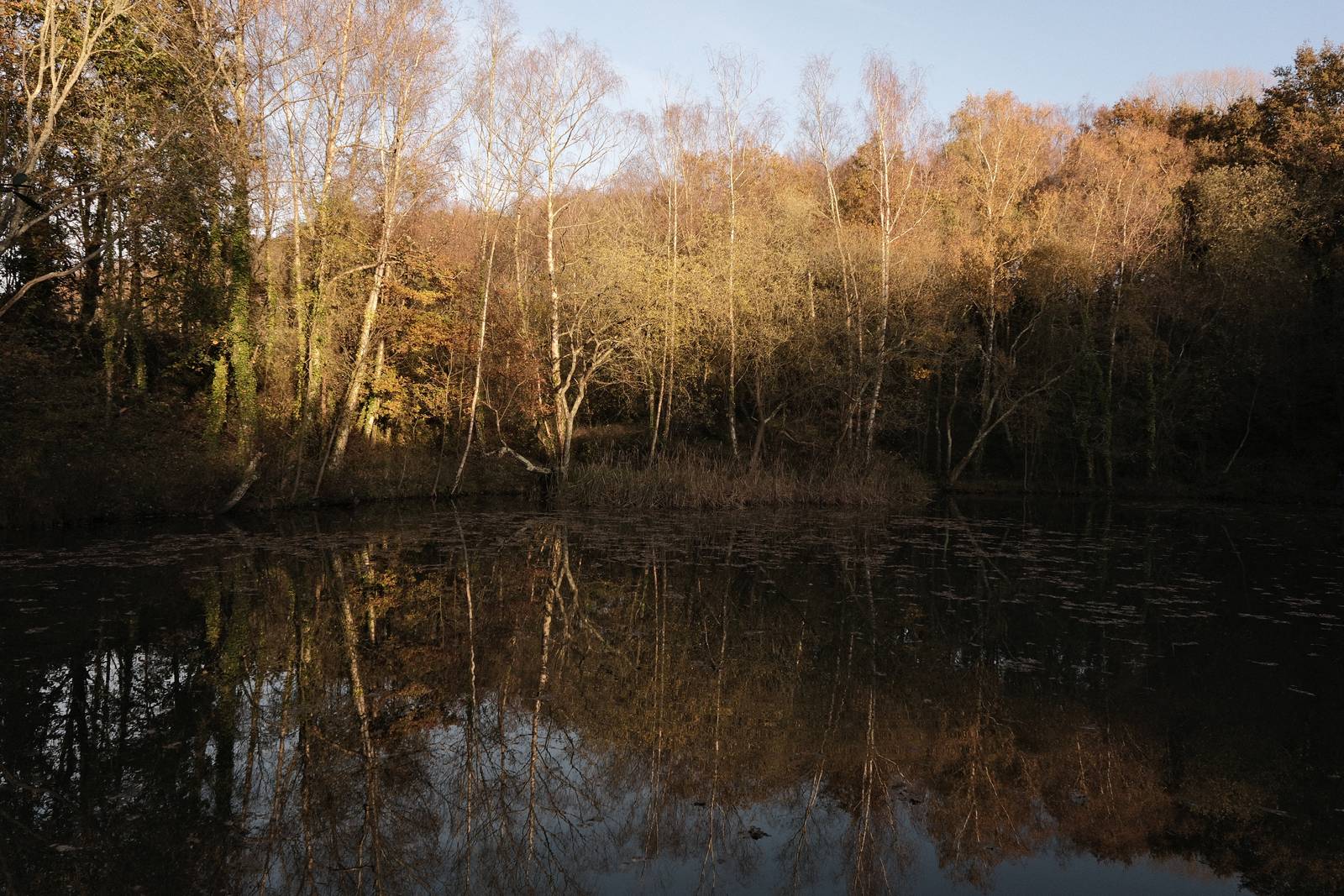 Nostalgic Standard film recipe sample photo