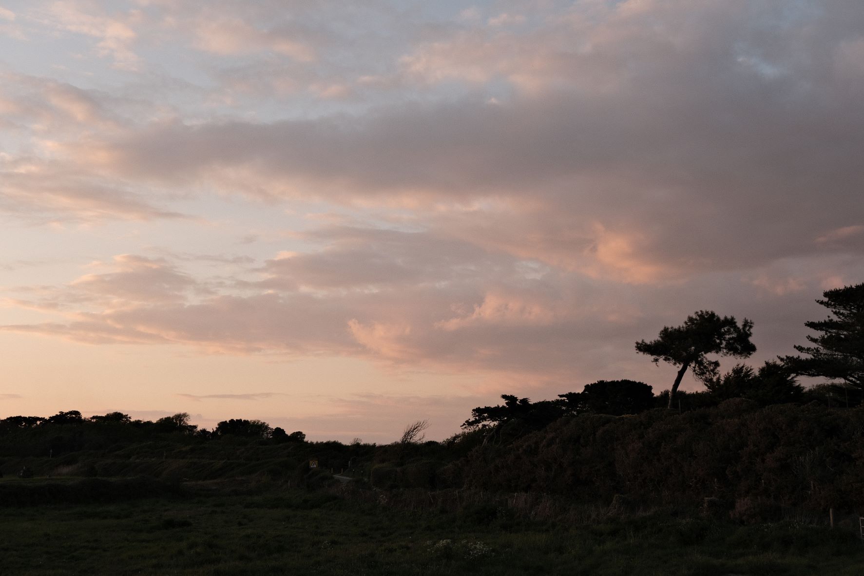 Nostalgic Standard film recipe sample photo