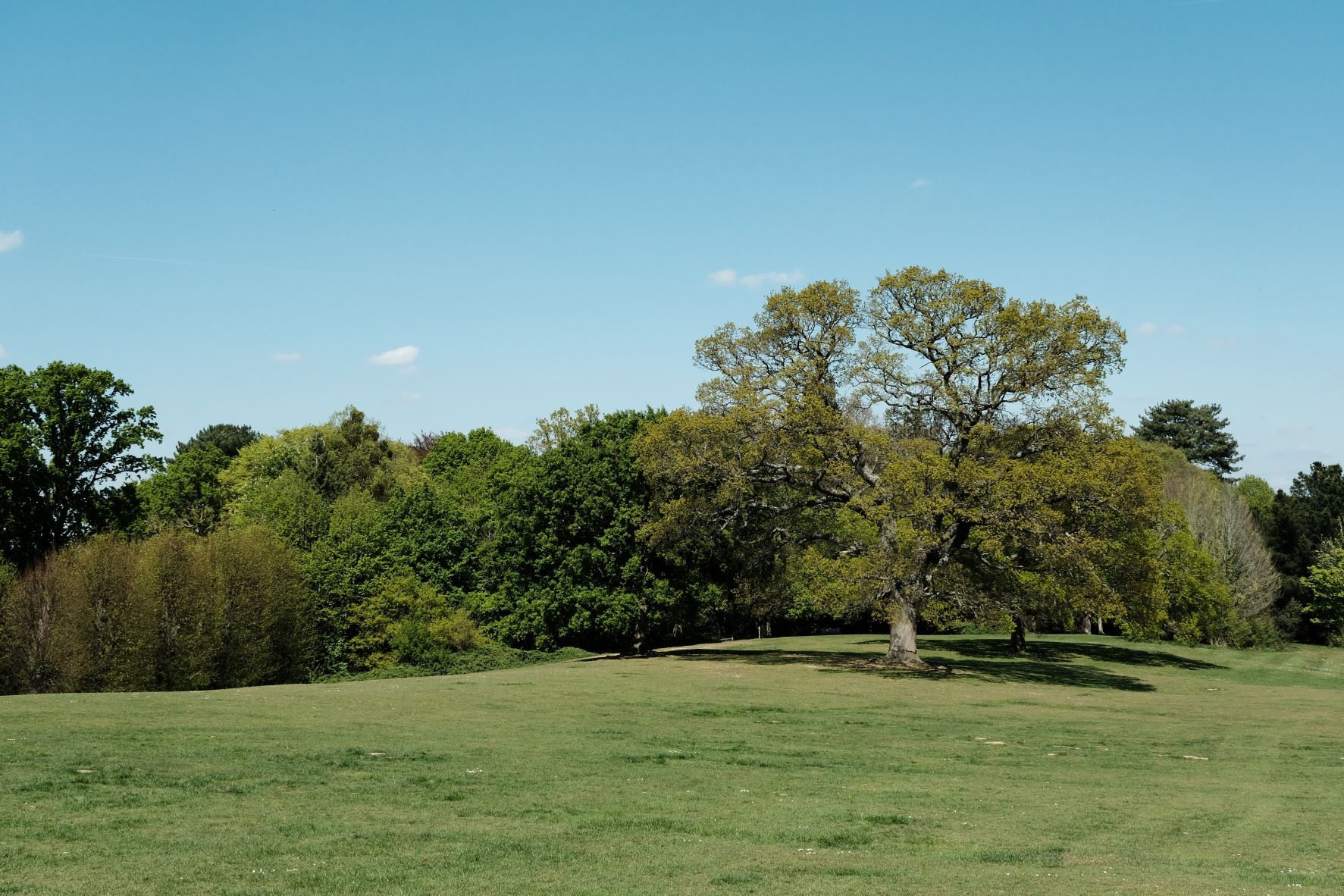 Kodak Ektar film recipe sample photo