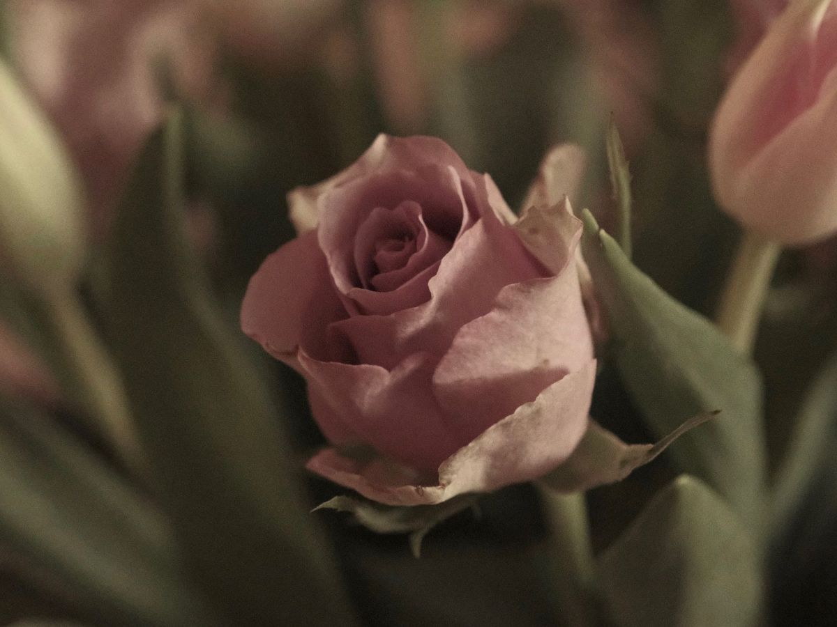 Hipsta Ray Mark II in a Creamy Retro&nbsp;Style