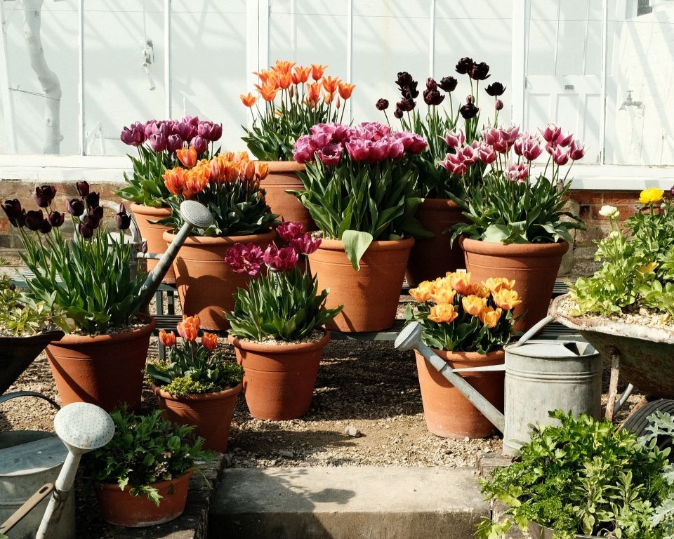 Kodachrome film recipe using Classic Chrome