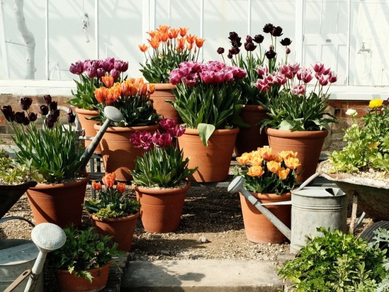 Kodachrome film recipe using Classic&nbsp;Chrome