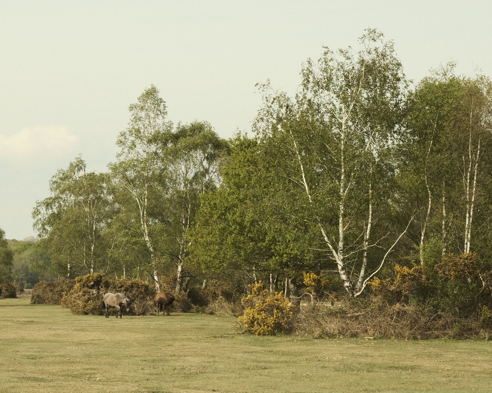 Aerocolor Lomo in an Expired Film Style