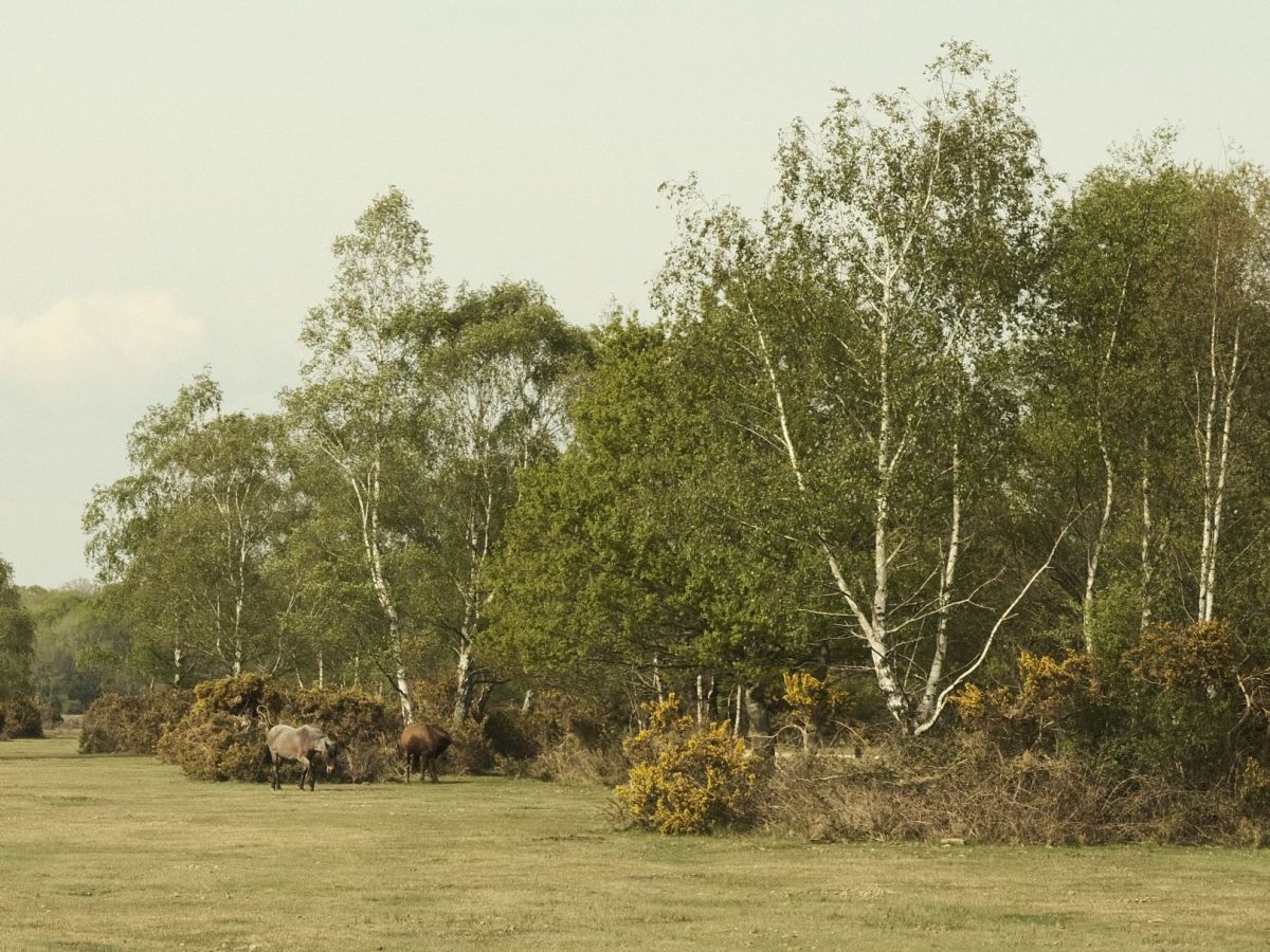 Aerocolor Lomo in an Expired Film&nbsp;Style