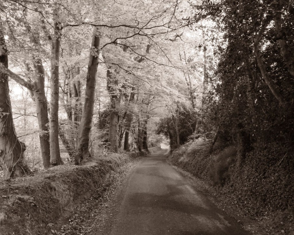 Chocolate Mono for Dark Cocoa&nbsp;Tones