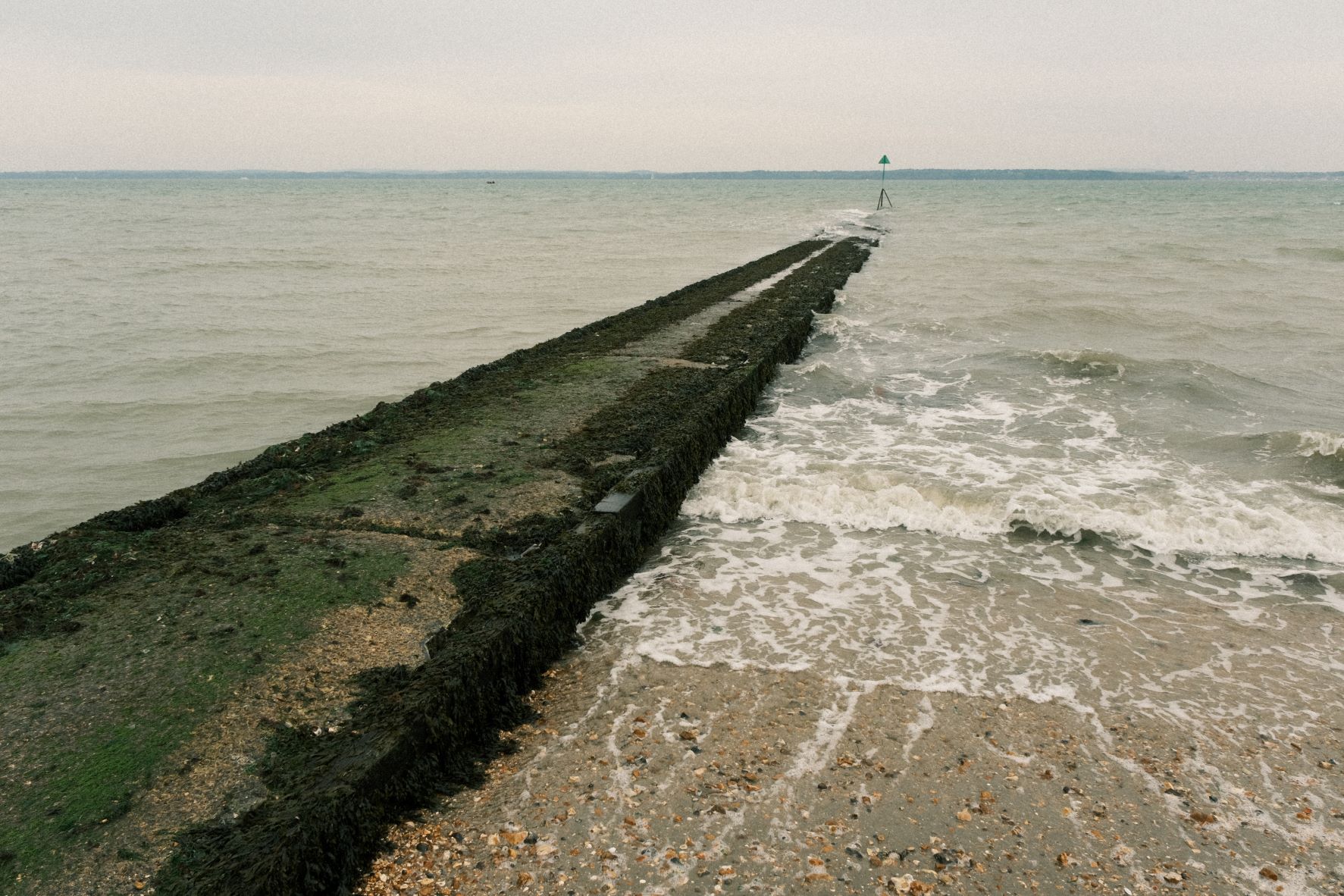 Kodak Portra Grainy film recipe sample photo