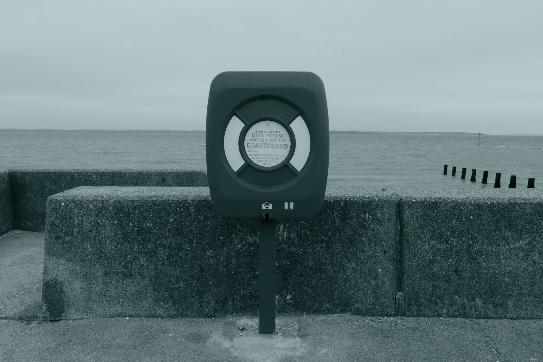 Cyanotype film recipe sample photo