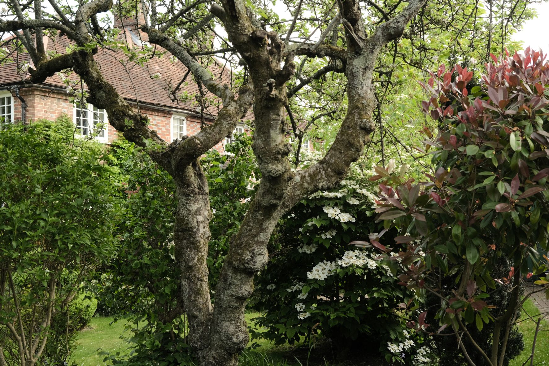 Gold Standard film recipe sample photo