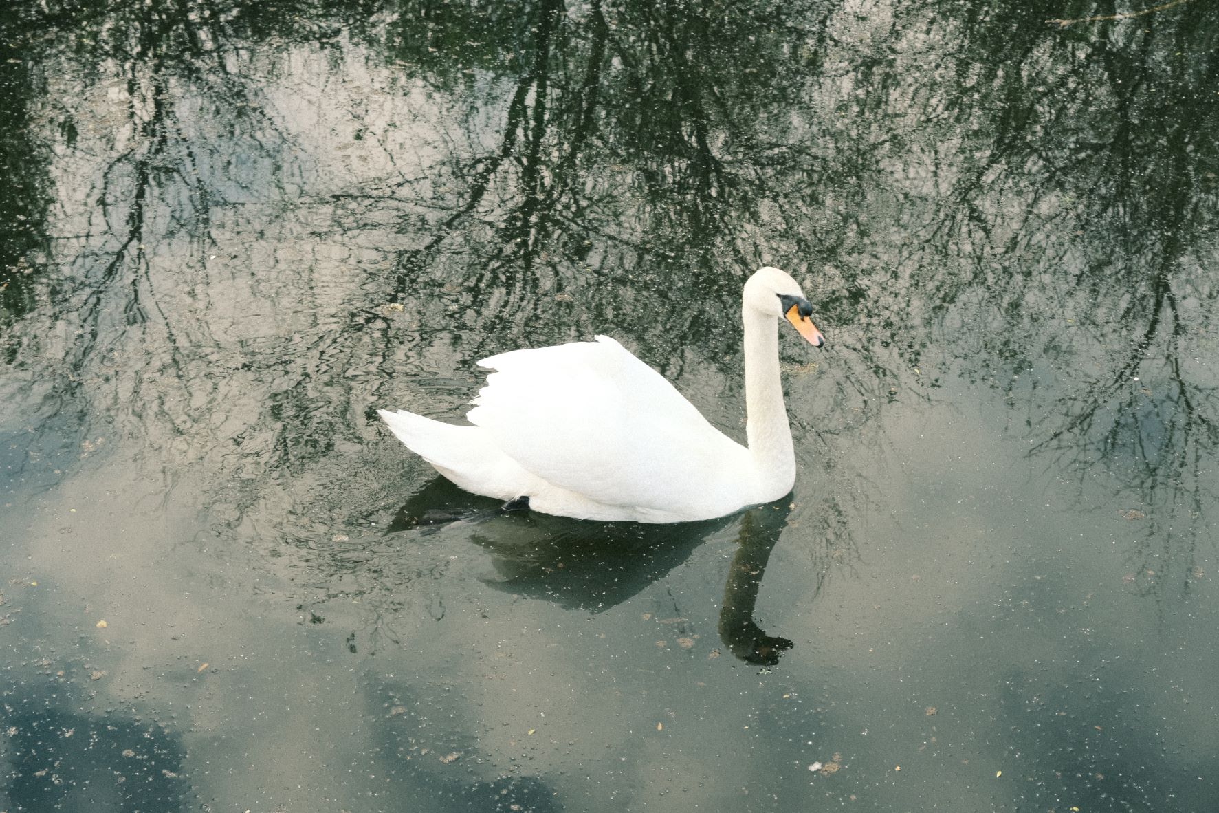 Kodak Portra Grainy film recipe sample photo