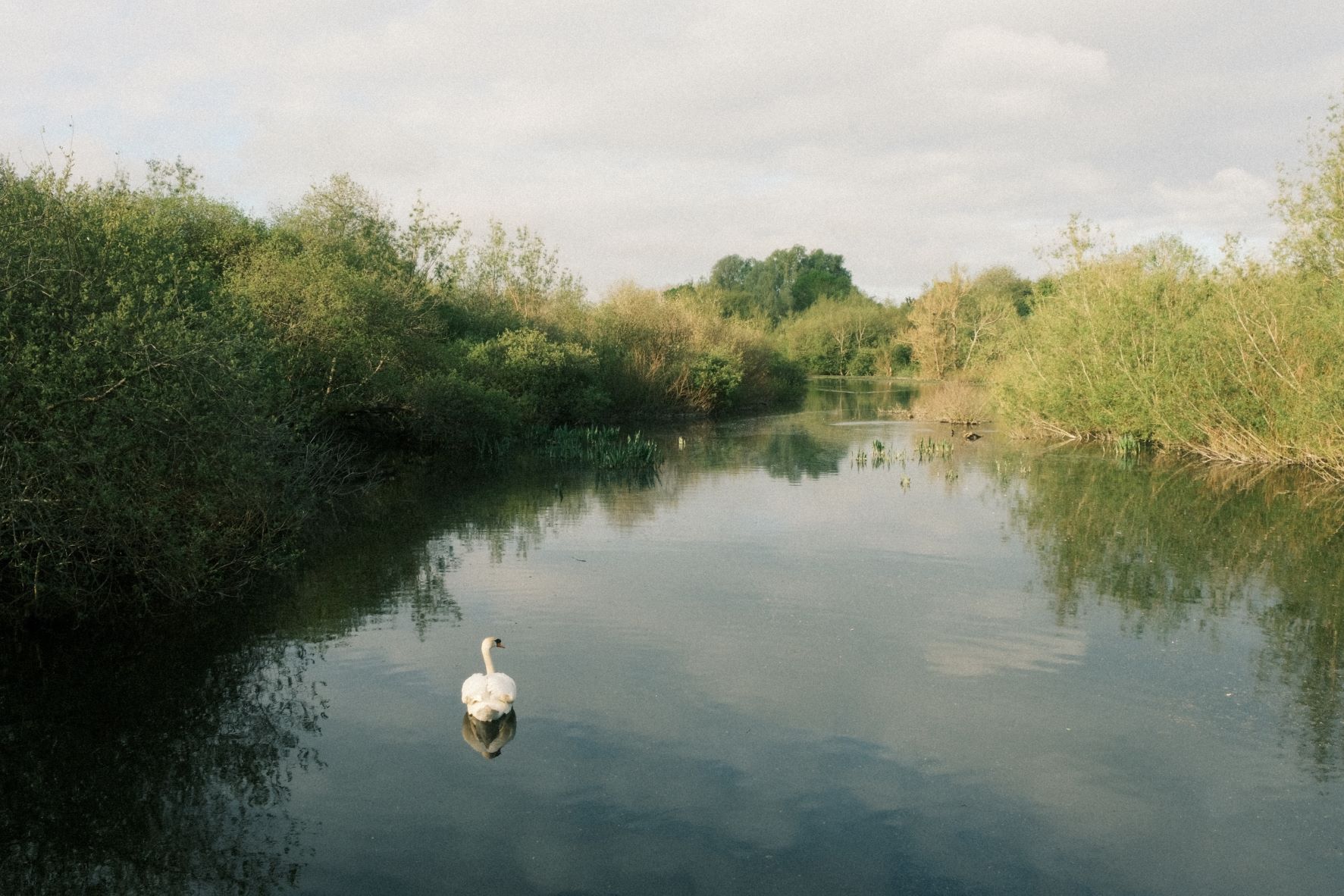 Kodak Portra Grainy film recipe sample photo