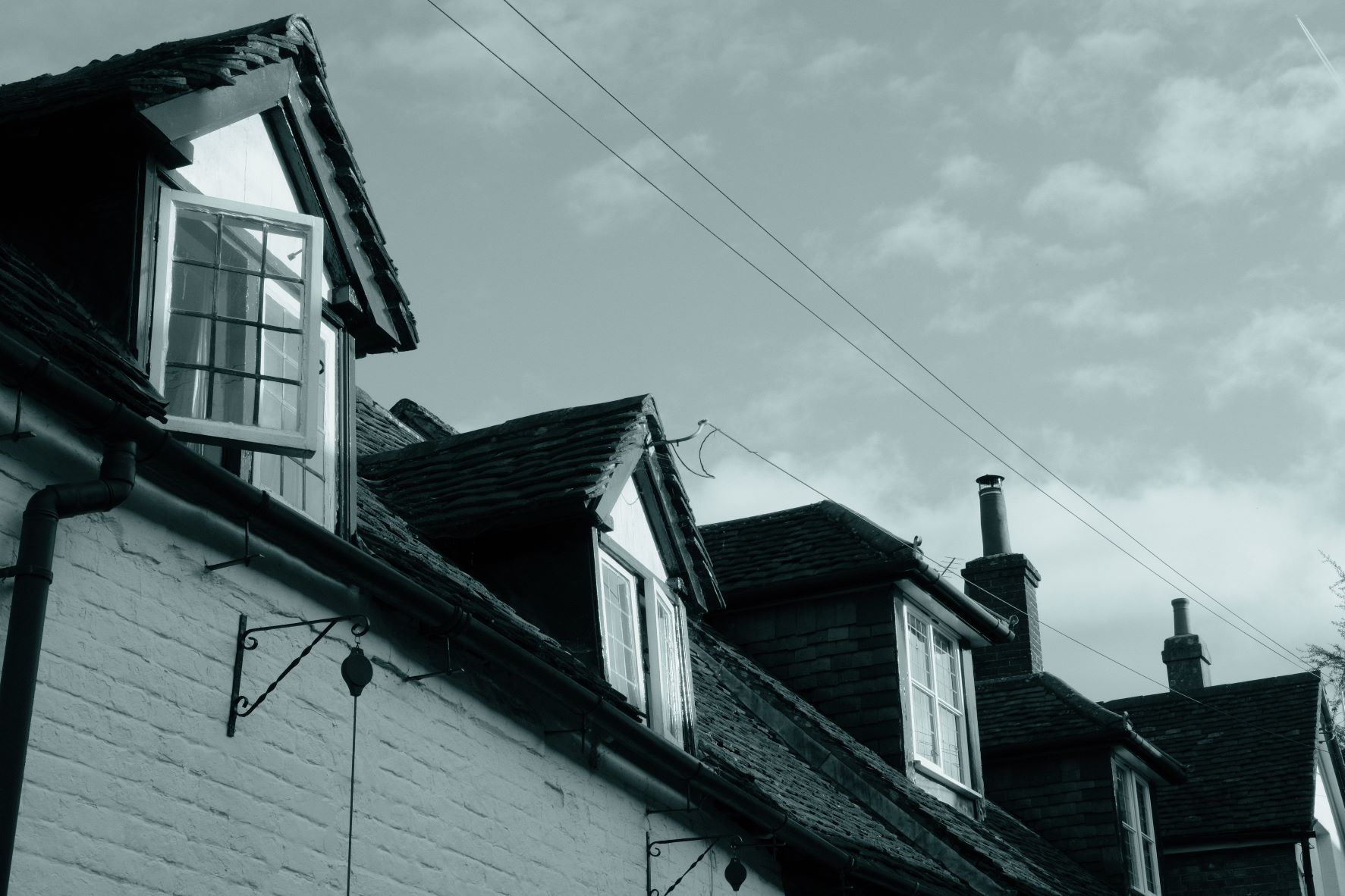 Cyanotype film recipe sample photo