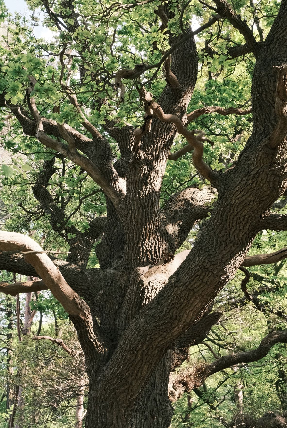 CN24 film recipe sample photo