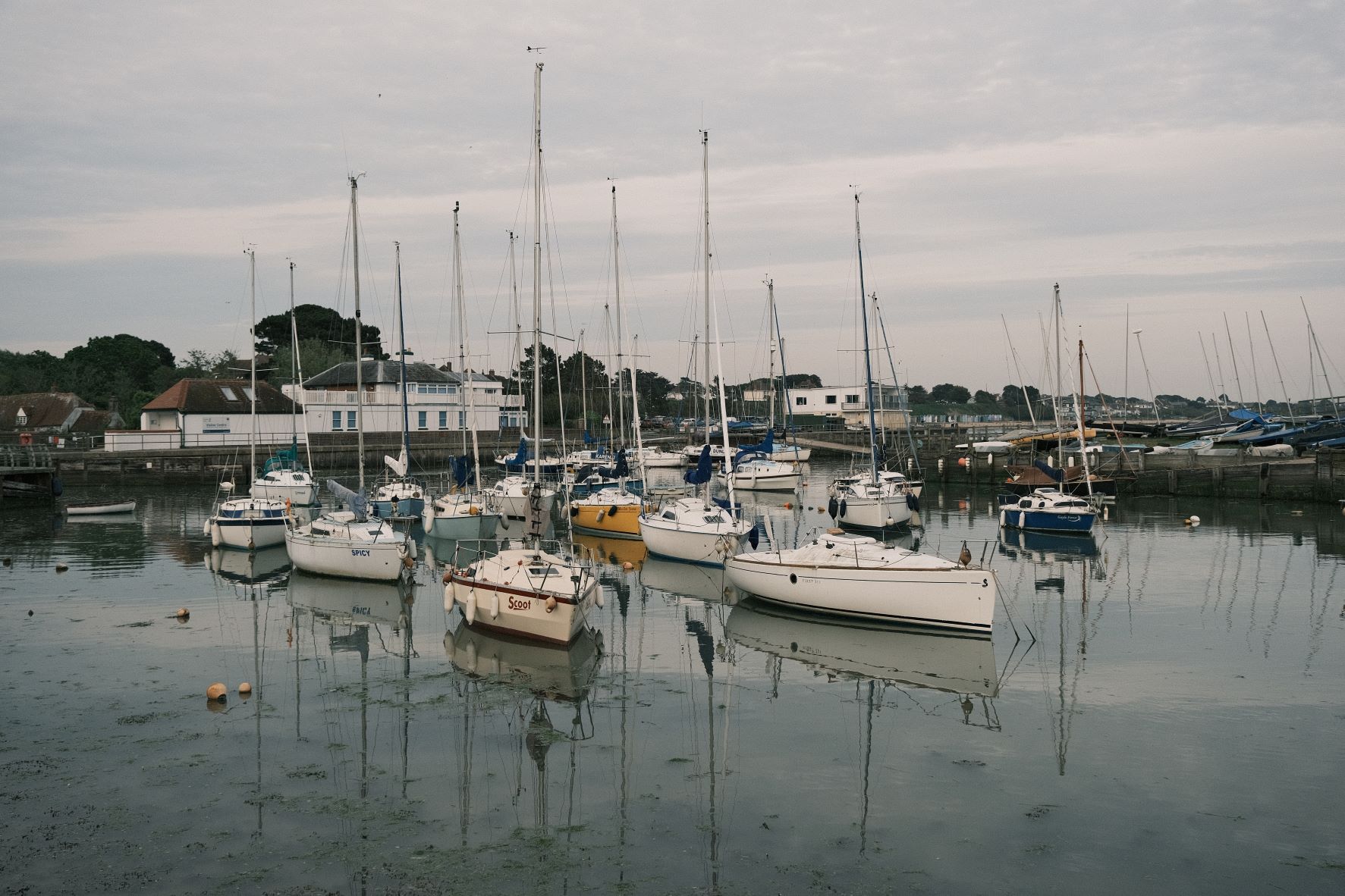 Chromium 44 film recipe sample photo