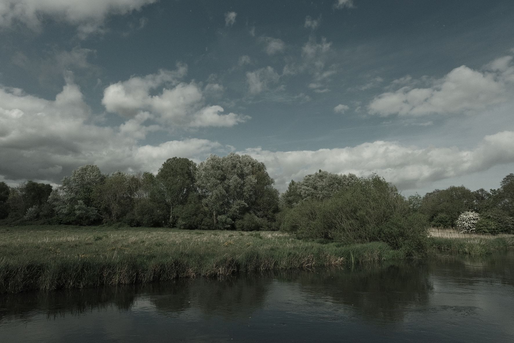 Wildwood Deep film recipe sample photo