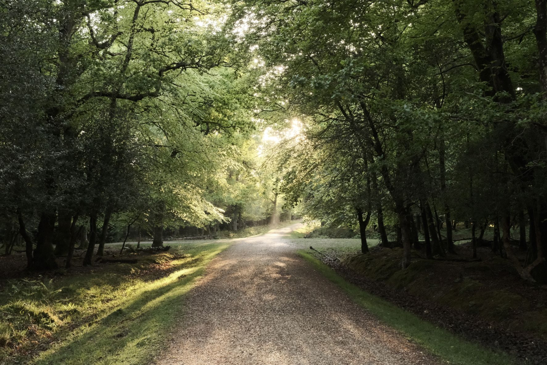 Eterna 8K film recipe sample photo