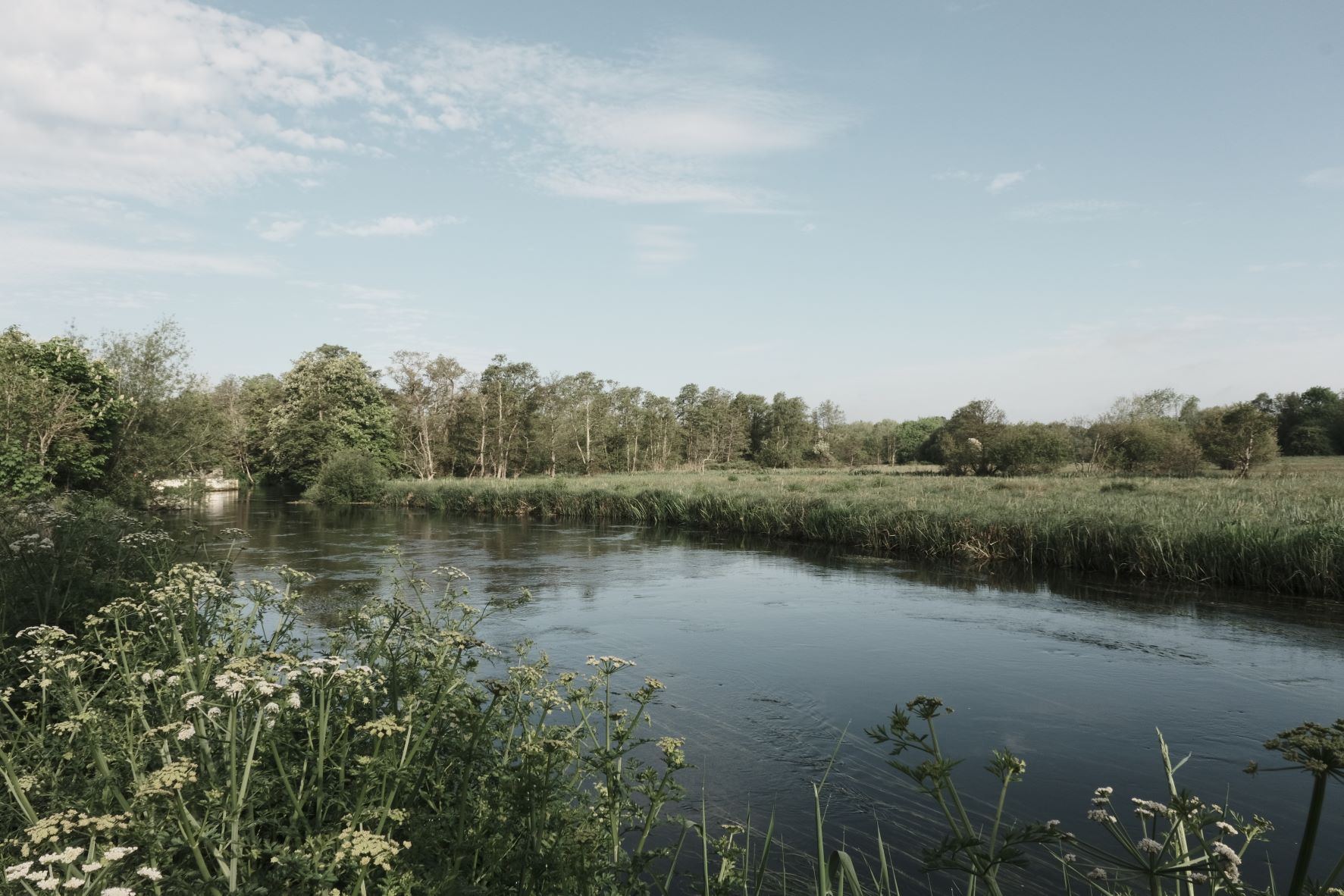 Cinematic Cool film recipe sample photo