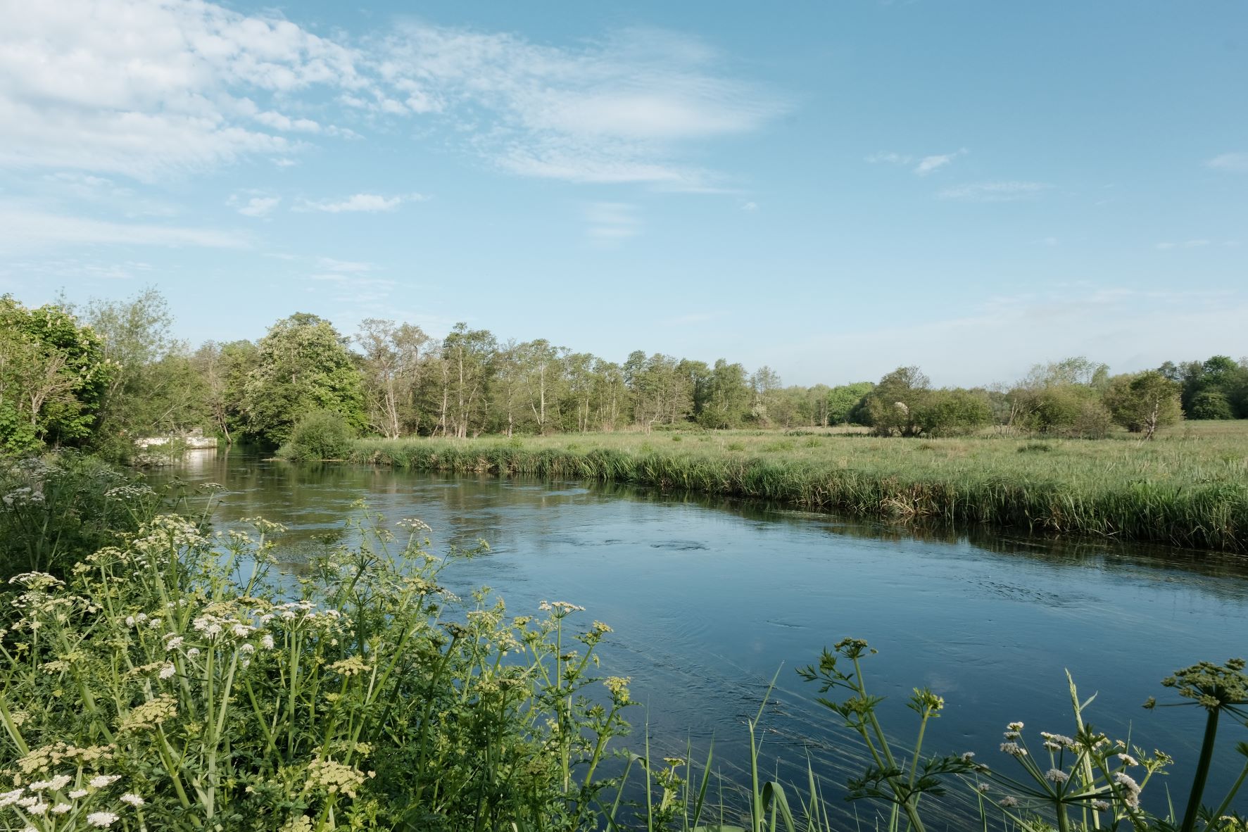 Kodachrome Daily film recipe sample photo