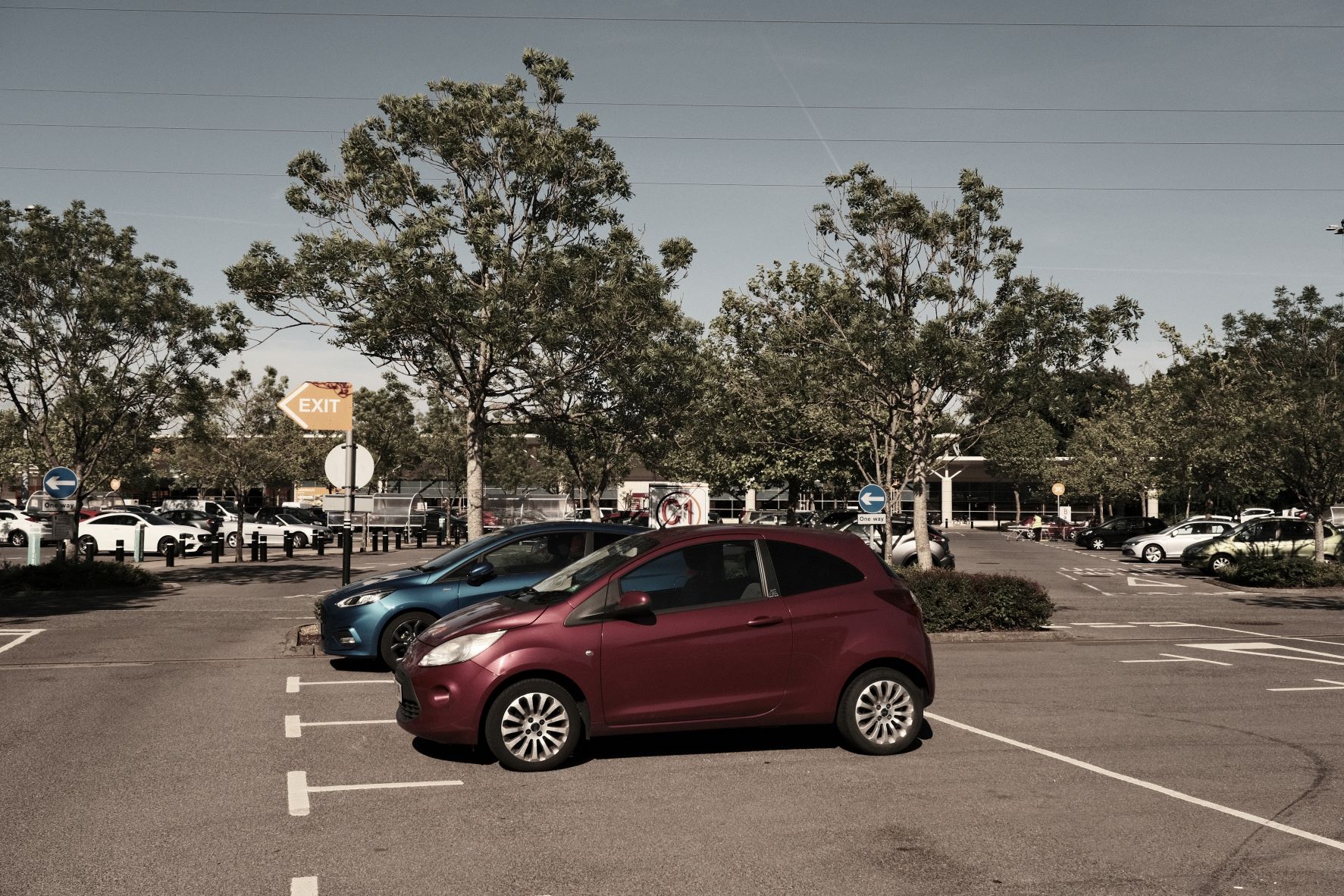 Squid Ink film recipe sample photo