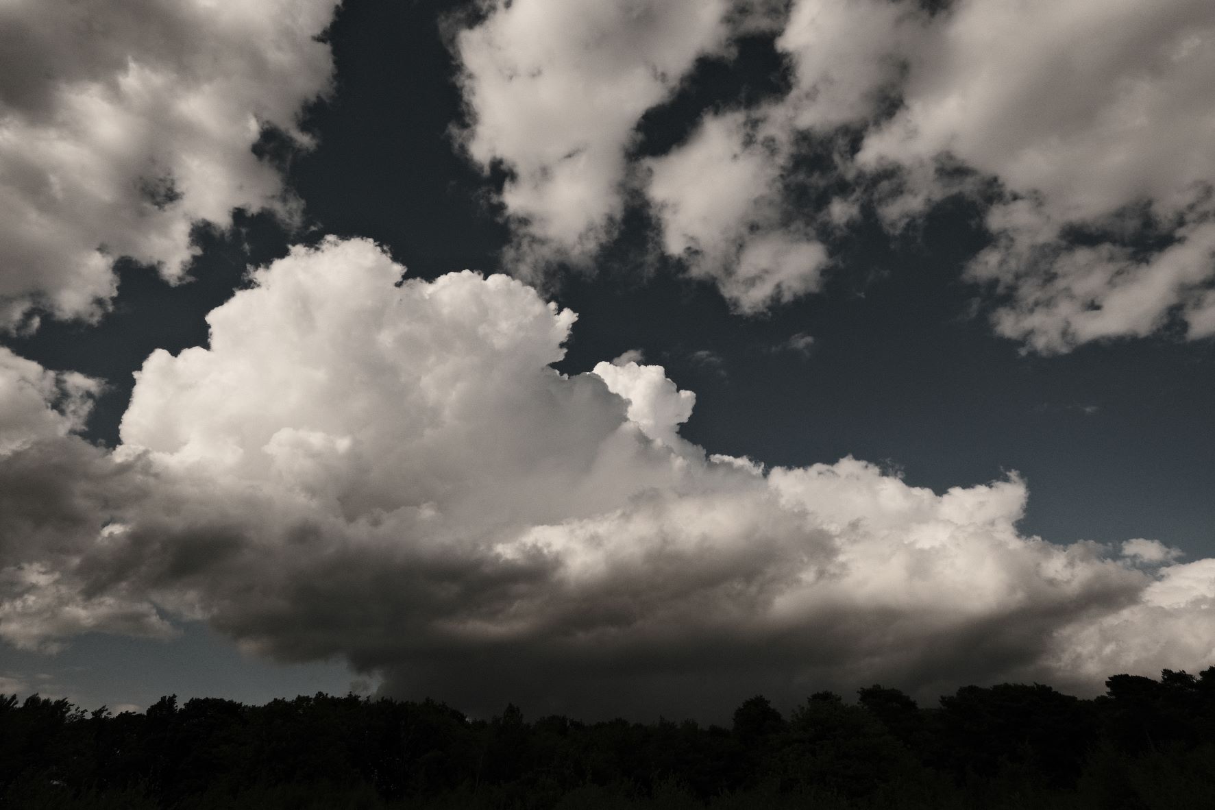 Squid Ink film recipe sample photo