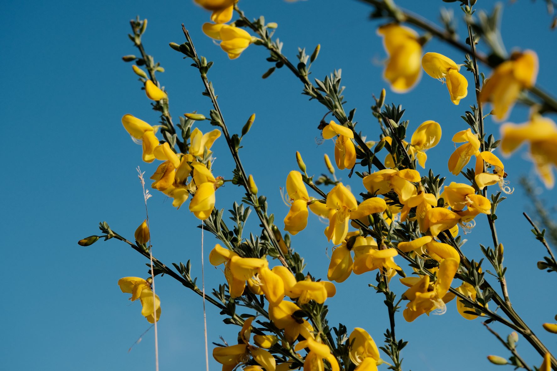 Kodachrome Classic film recipe sample photo