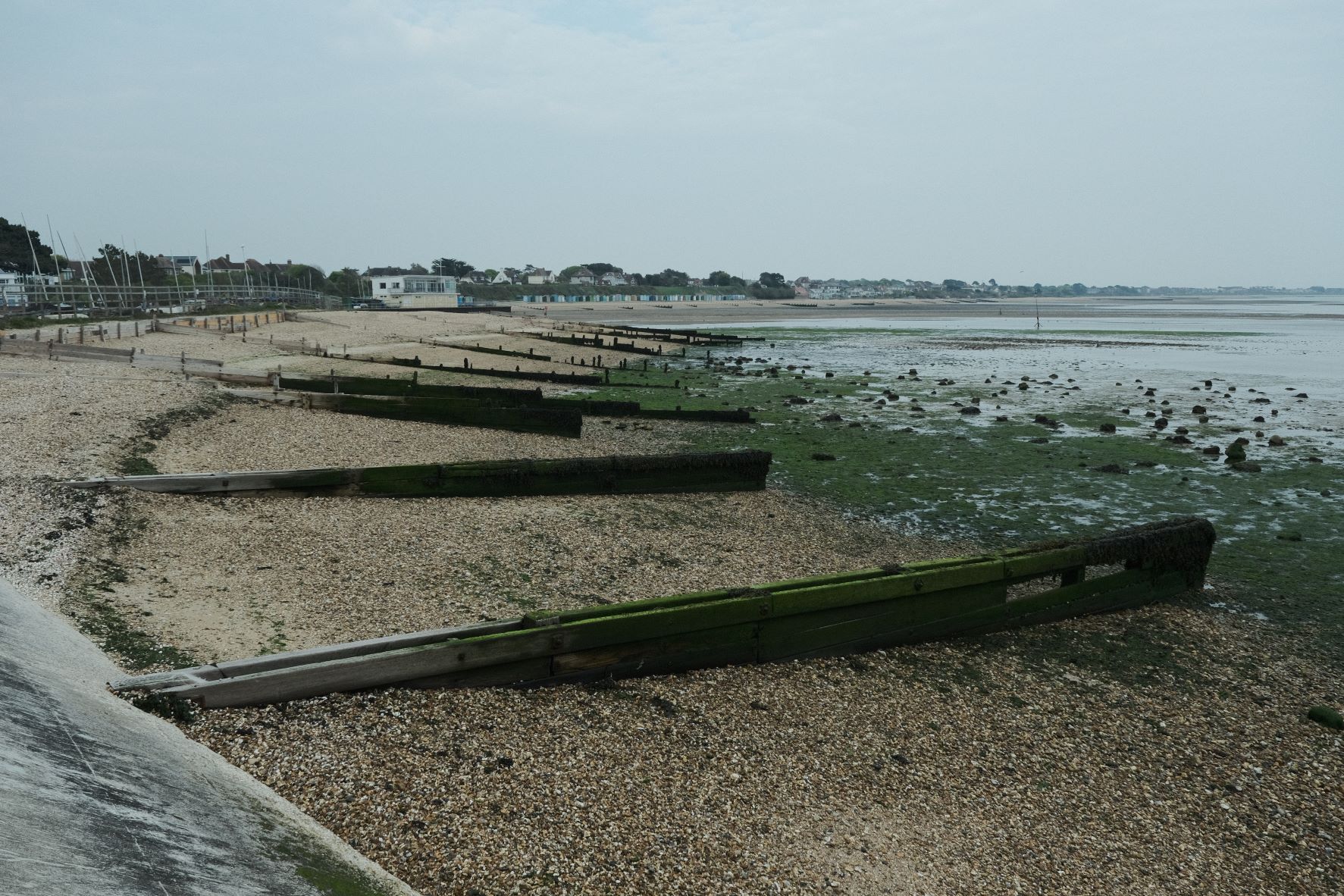 Cinematone film recipe sample photo