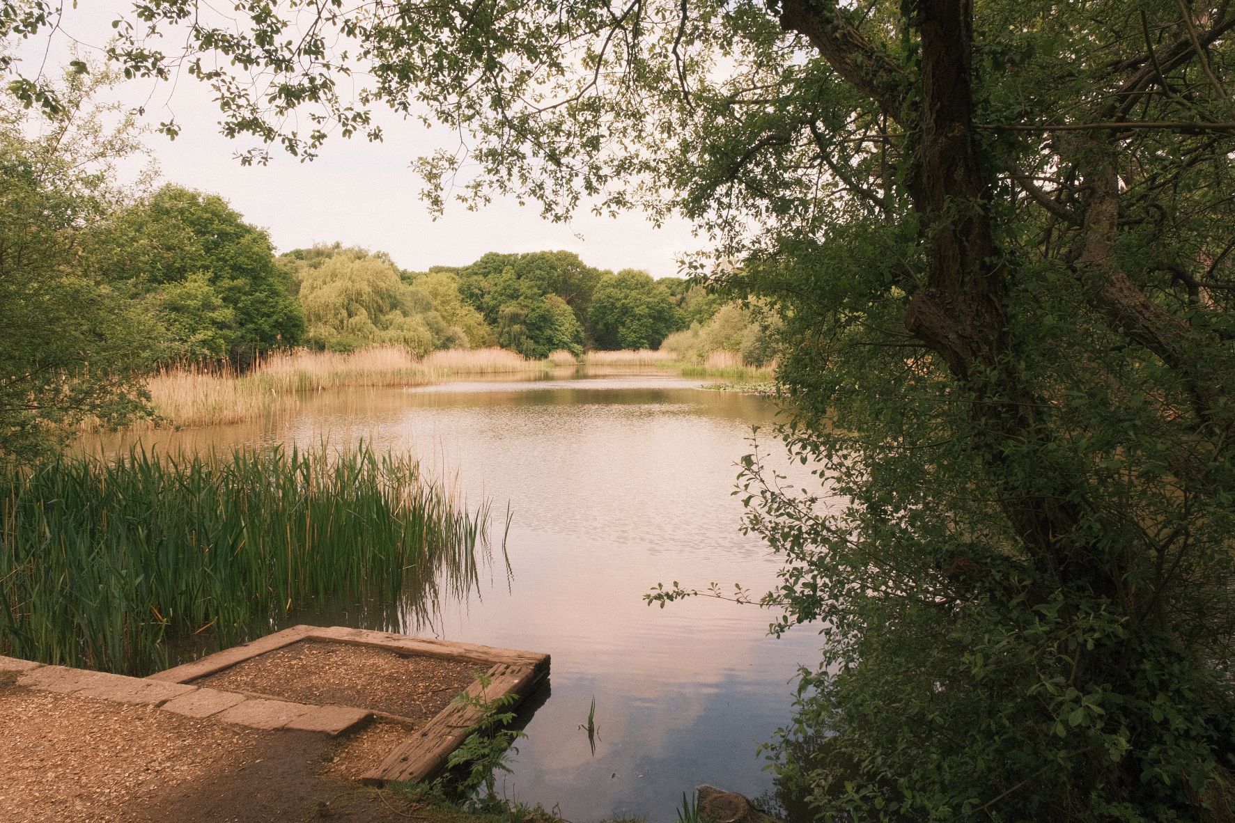 Summer of 76 film recipe sample photo