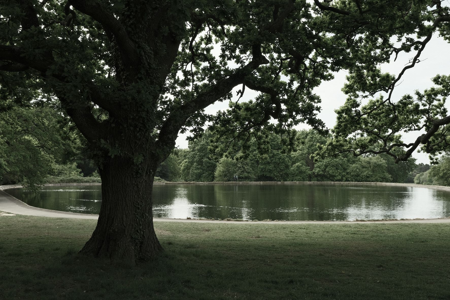 Wildwood Deep film recipe sample photo