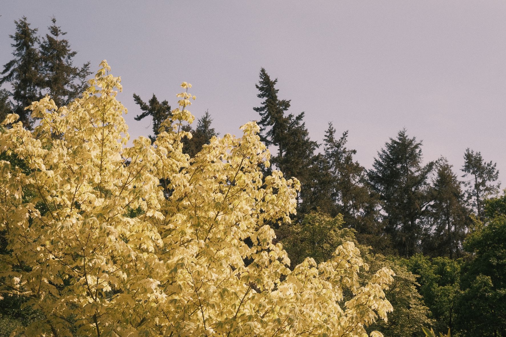 Summer of 76 film recipe sample photo