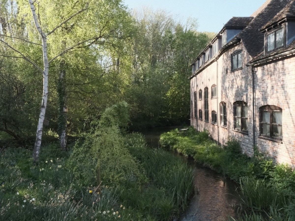 Eternal Sunshine for Sunny Day&nbsp;Softness