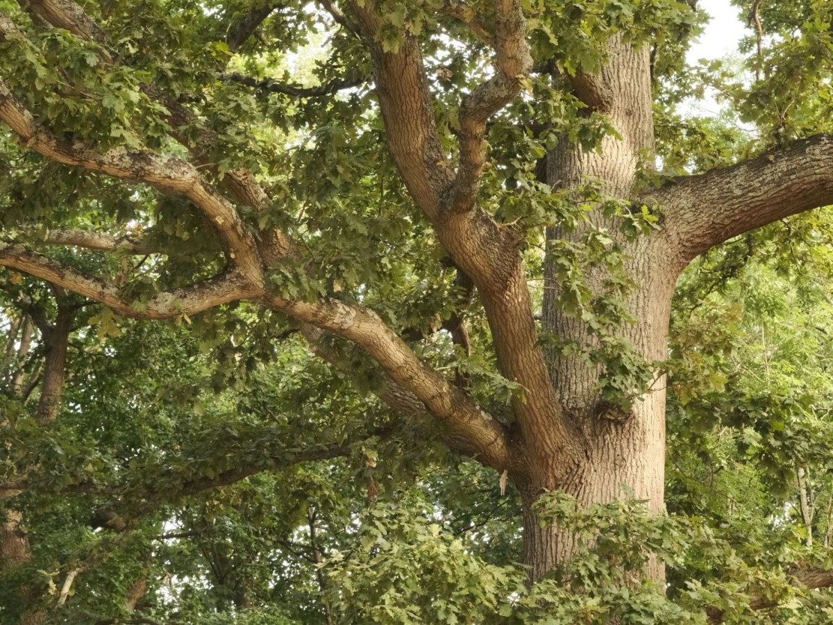 Eternal Summer with Cinematic Portra&nbsp;Tones