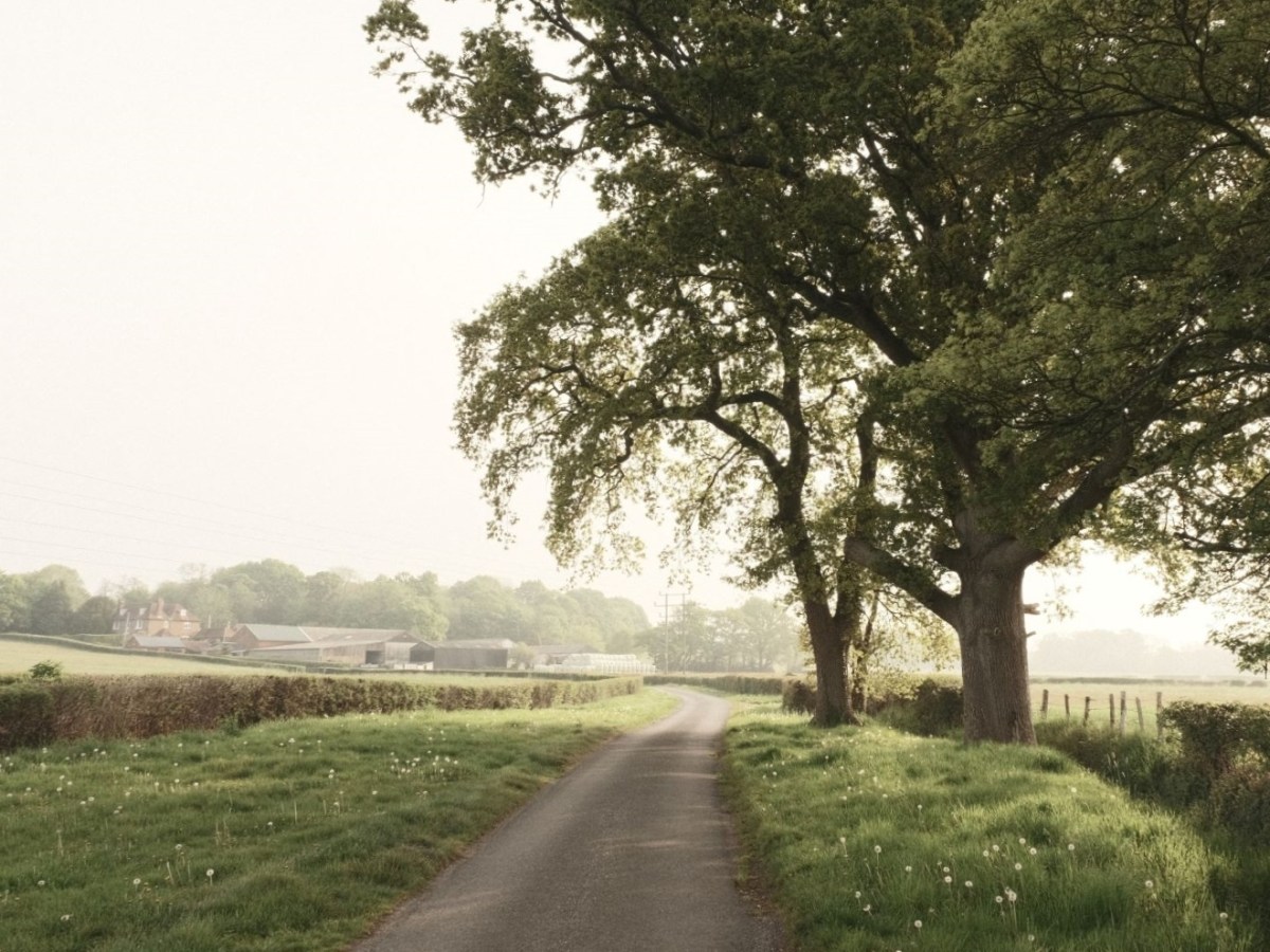 Fading Memory with a Wistful Soft&nbsp;Vibe