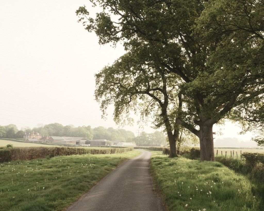 Fading Memory with a Wistful Soft&nbsp;Vibe