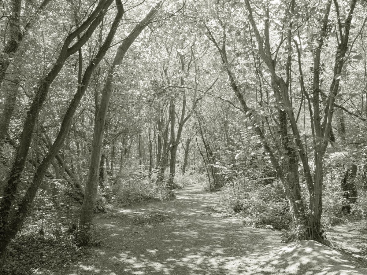 Liminal Mono with a Bright Infra-Red&nbsp;Look