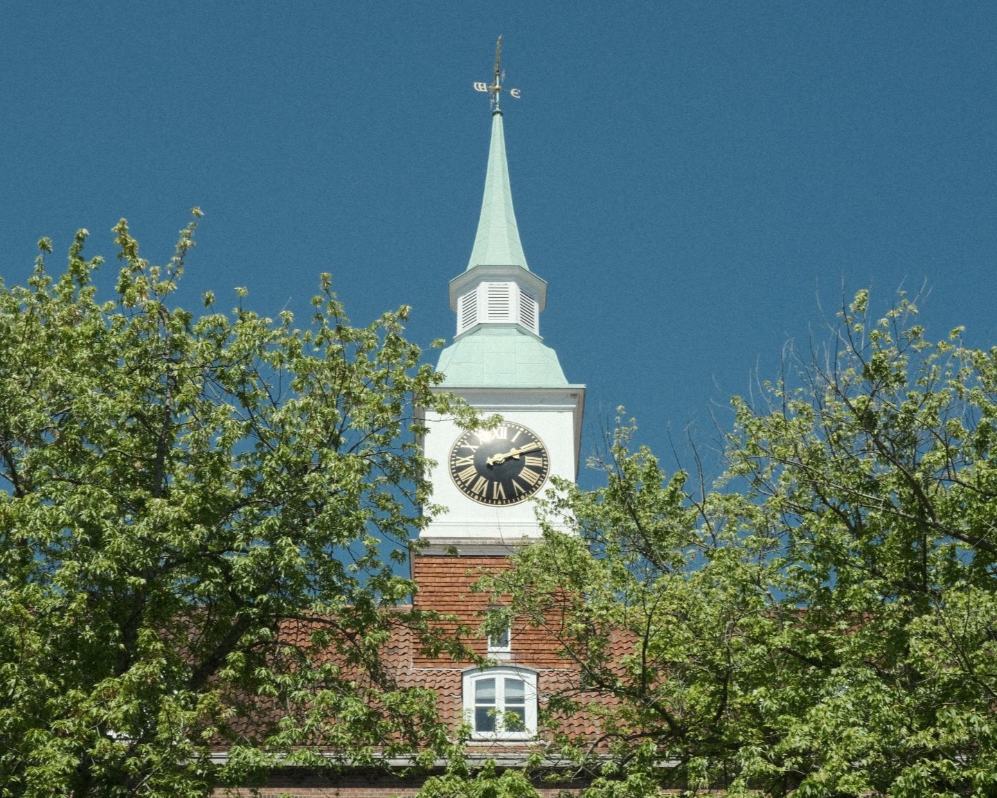 CineStill Daylight for Softening Bright Light