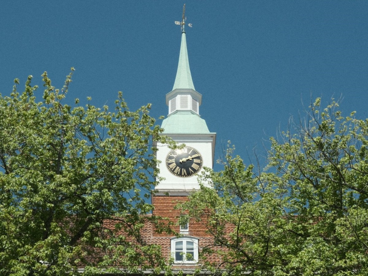 CineStill Daylight for Softening Bright&nbsp;Light