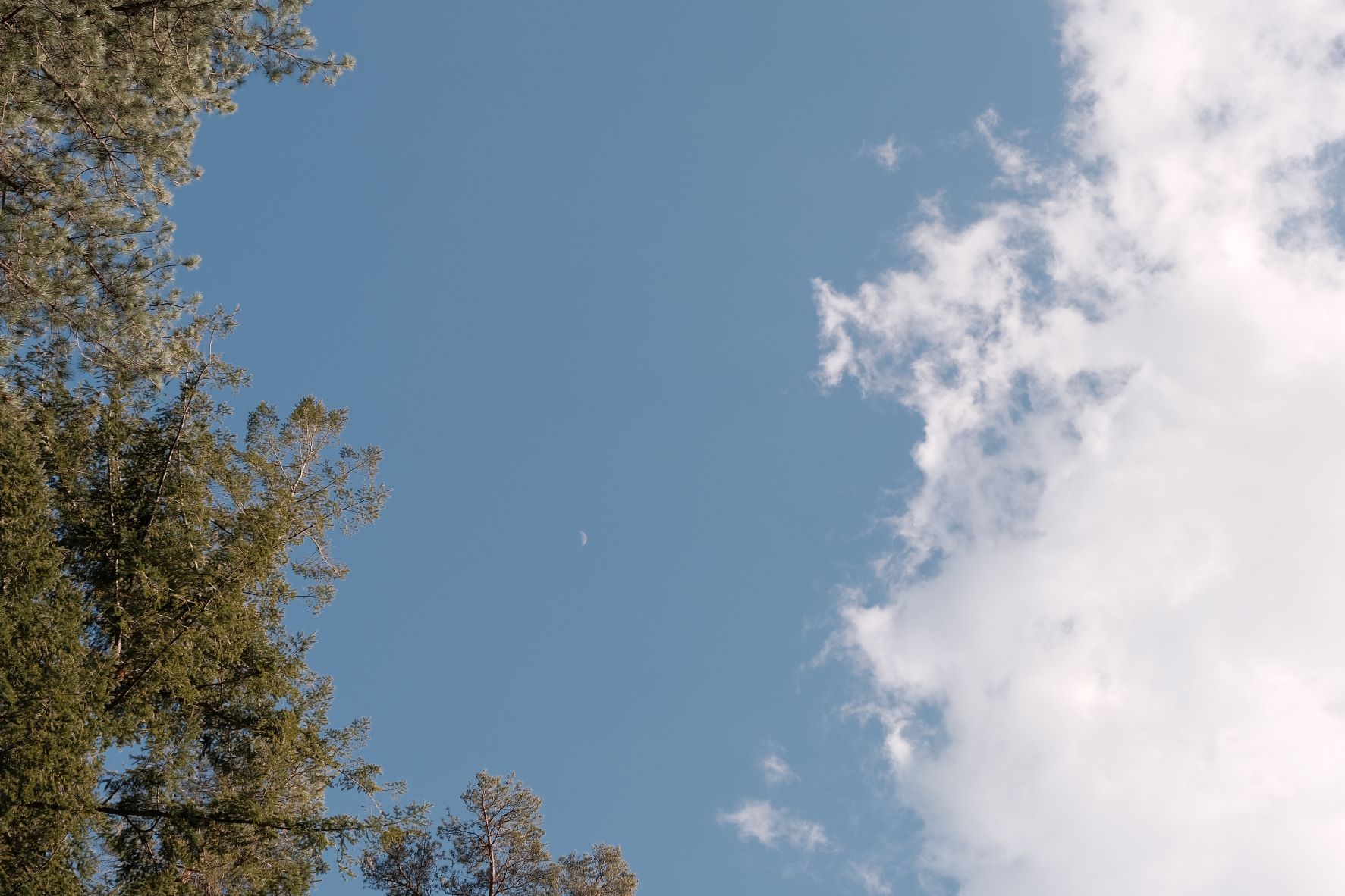 Kodak Portra 66 film recipe sample photo