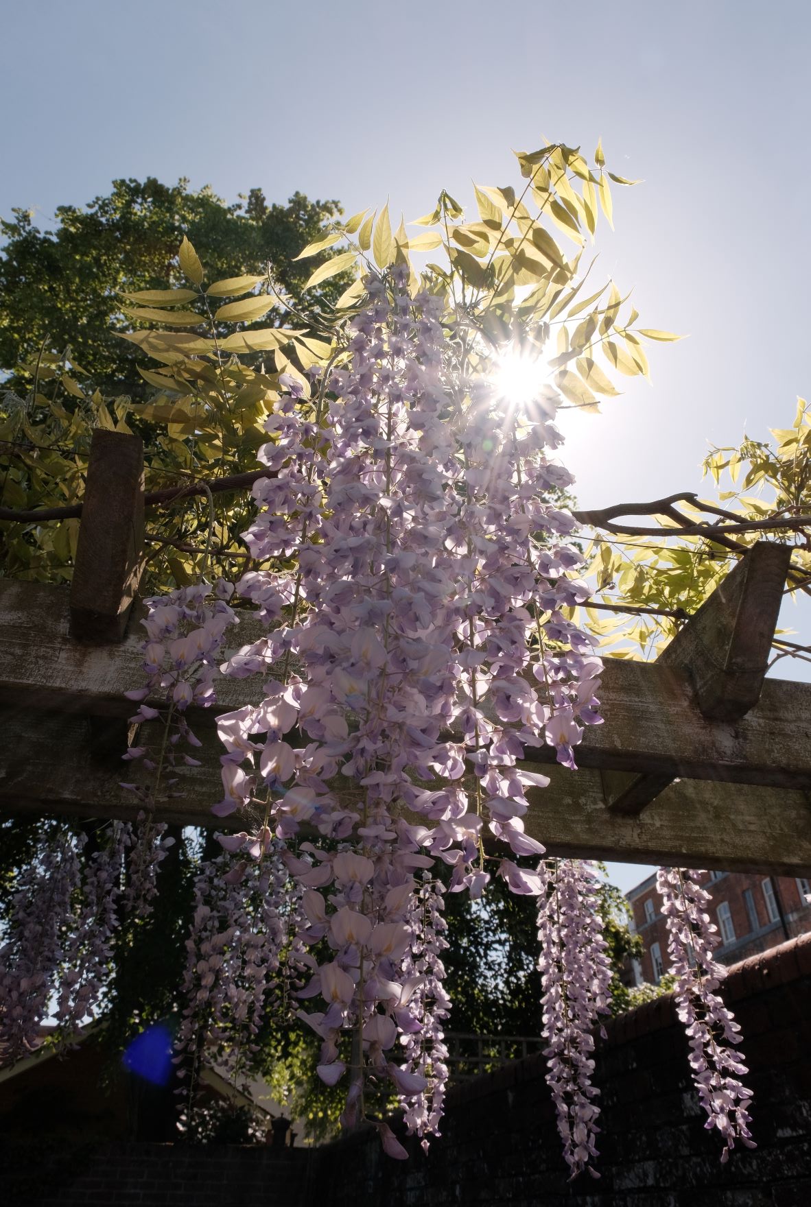 Kodak Portra 66 film recipe sample photo