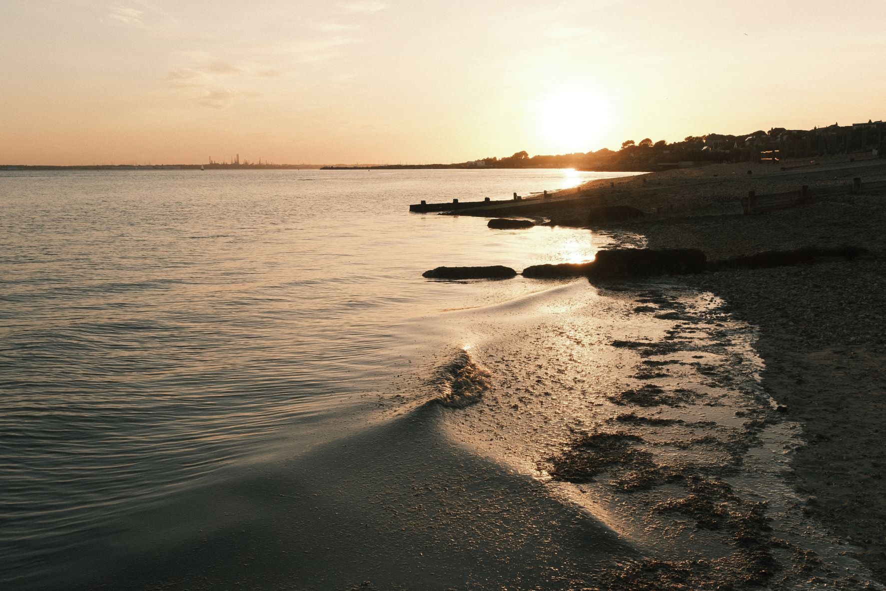 Rosa Negative film recipe sample photo