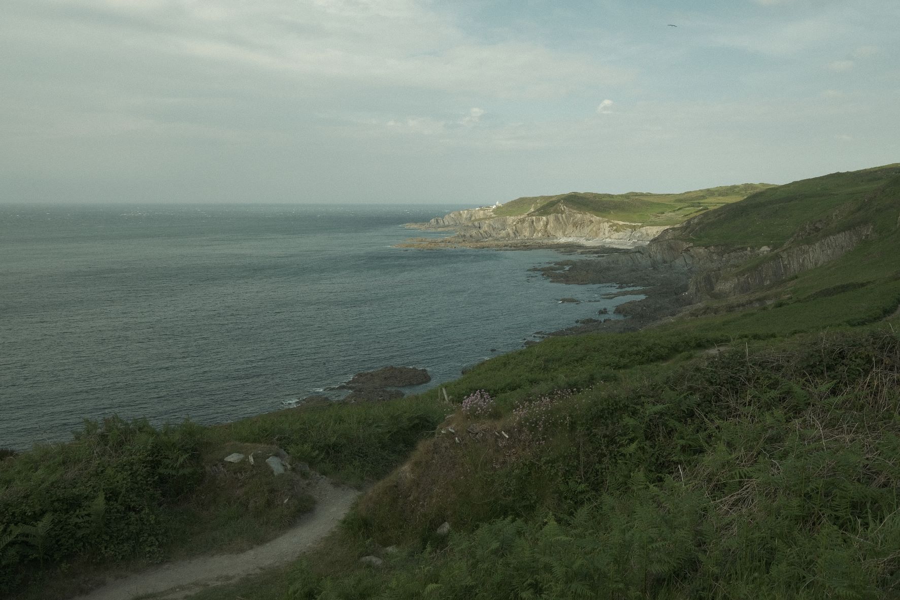 Arthouse Cinema film recipe sample photo