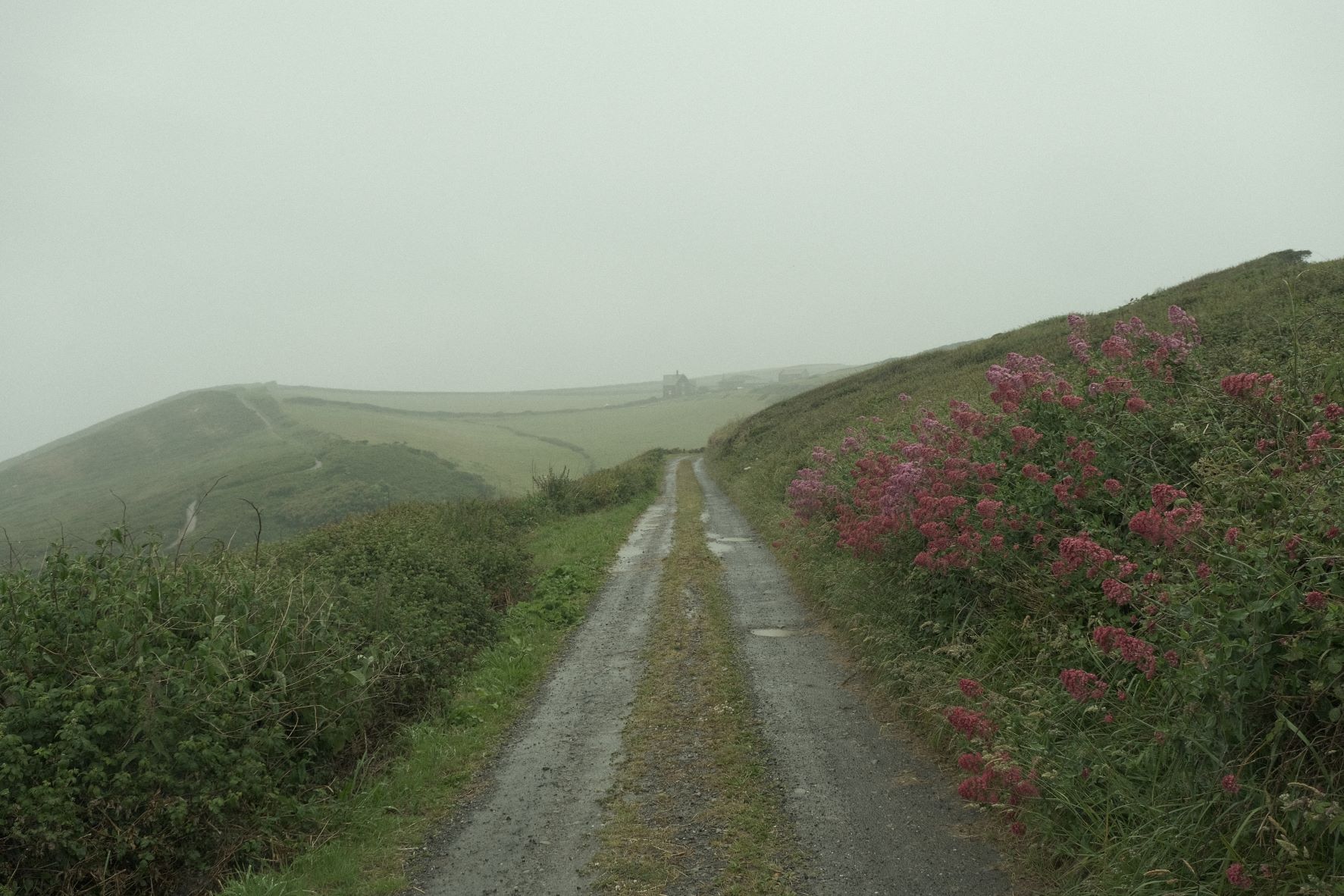 Arthouse Cinema film recipe sample photo
