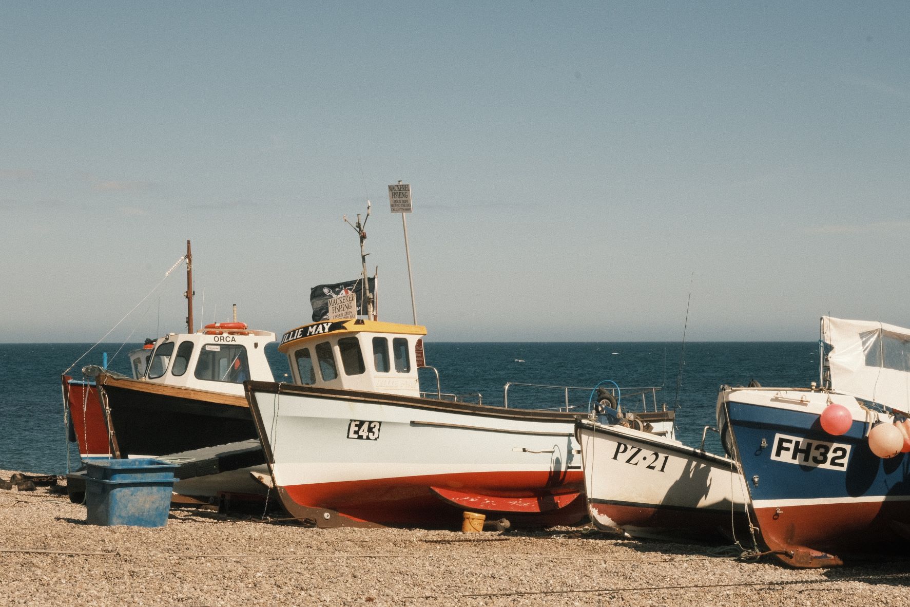 Rosa Negative film recipe sample photo