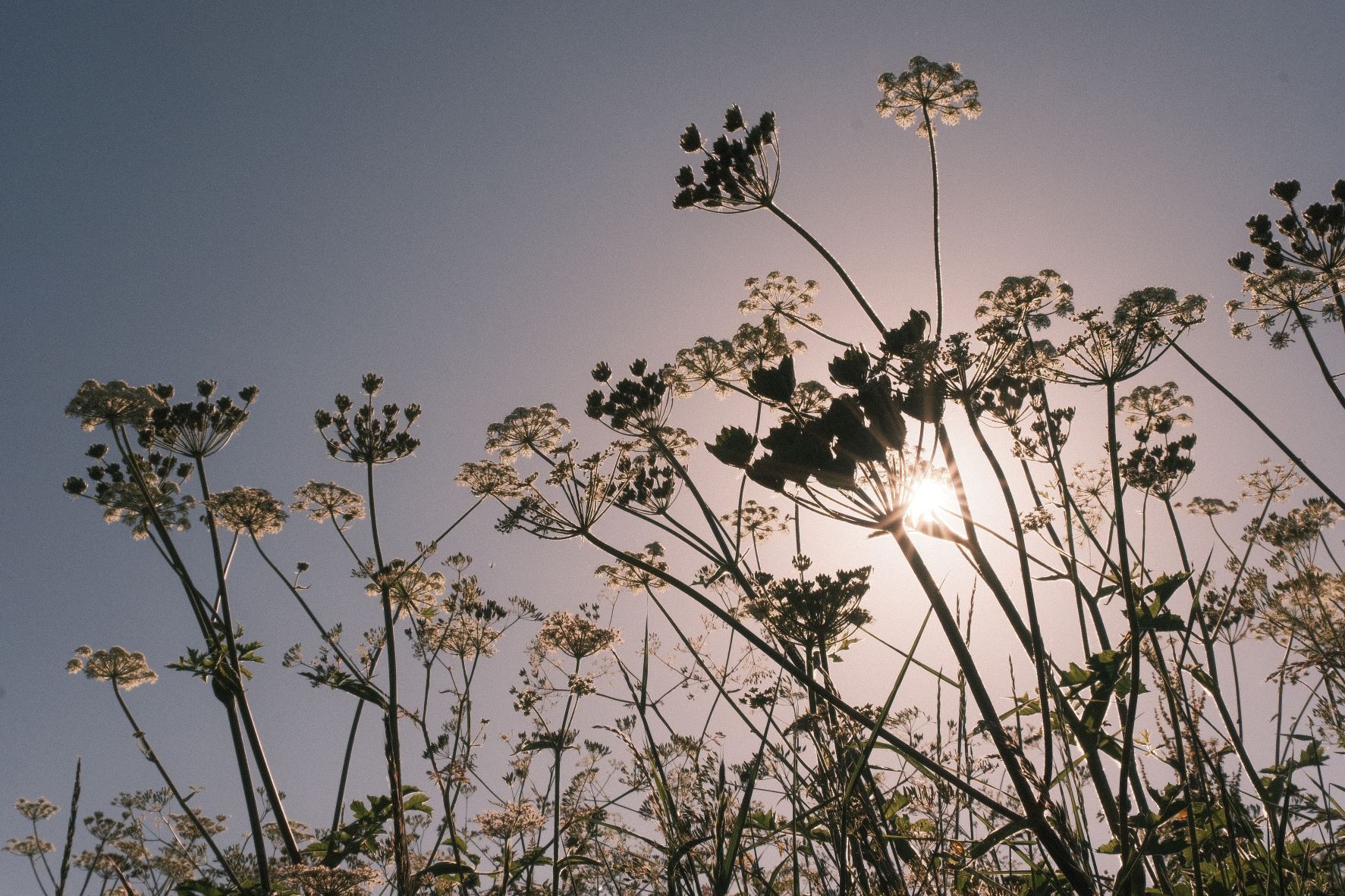 Summer of 76 film recipe sample photo