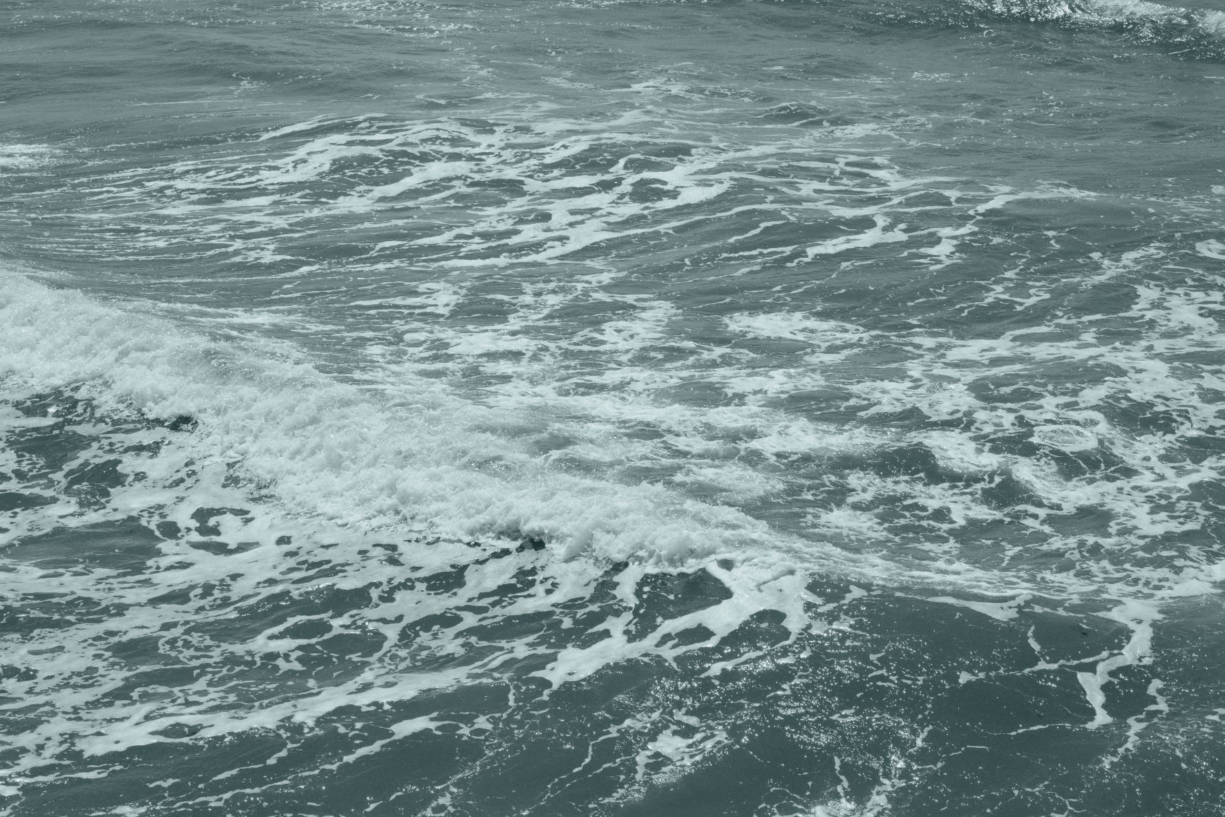 Cyanotype film recipe sample photo