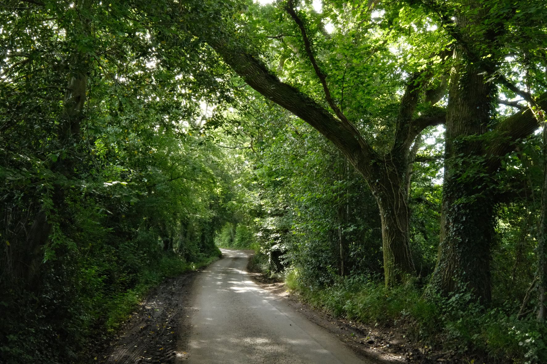 Astia Geographic film recipe sample photo