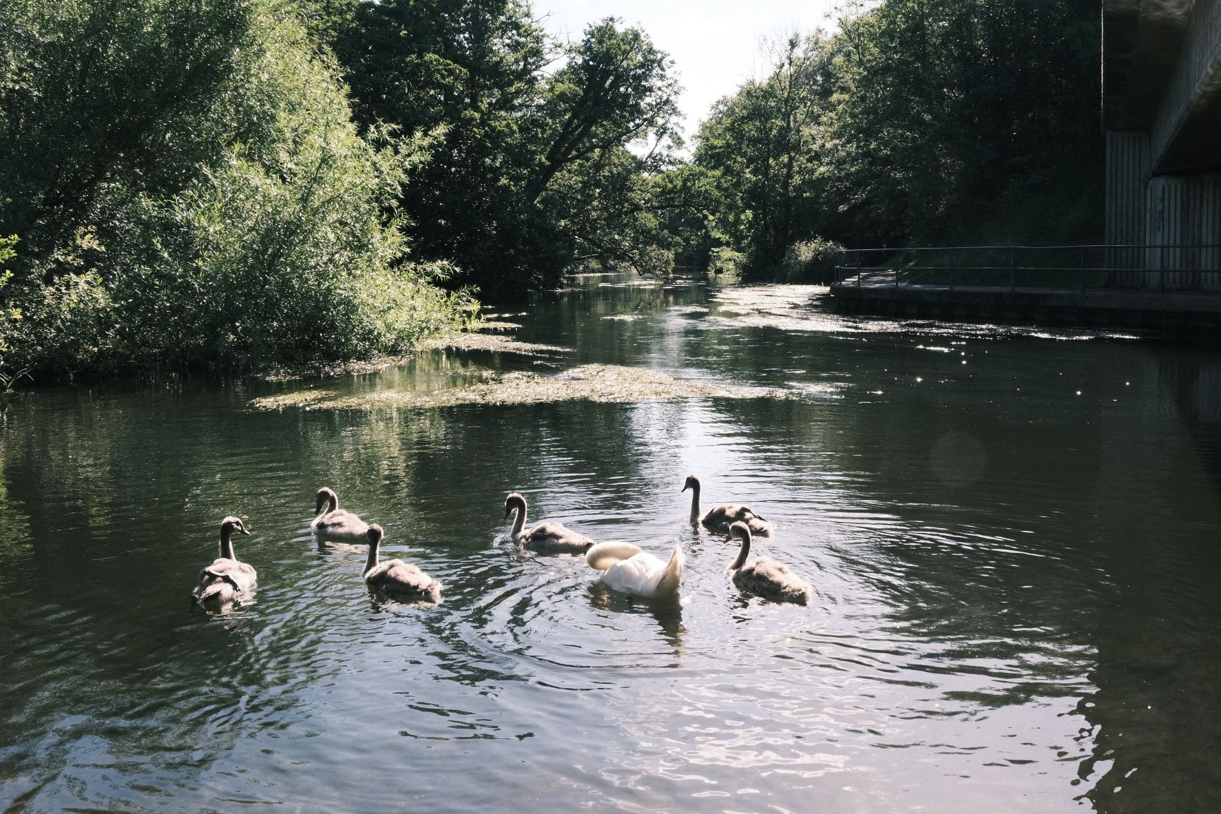 Classic Print film recipe sample photo