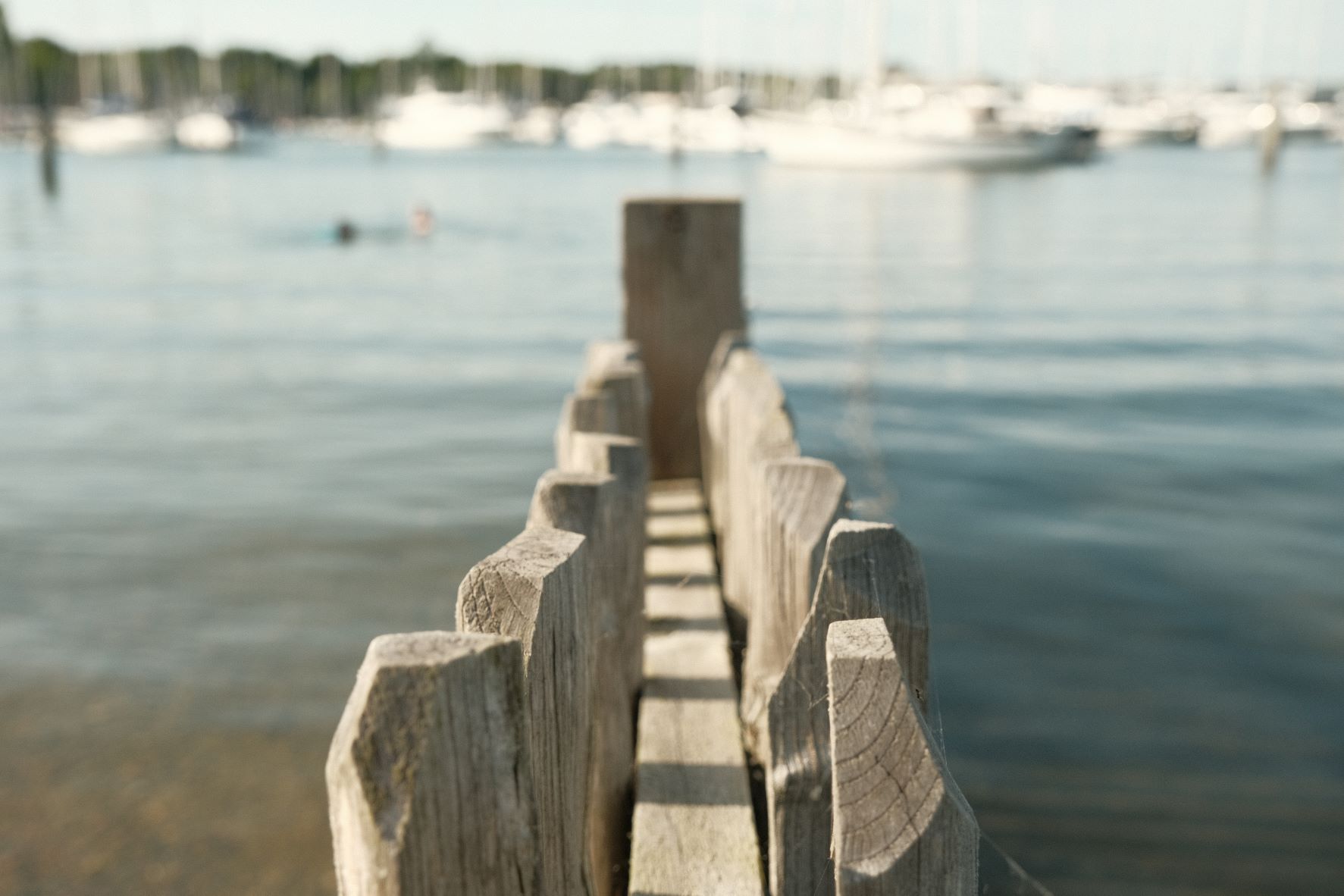 Kodak Portra film recipe sample photo