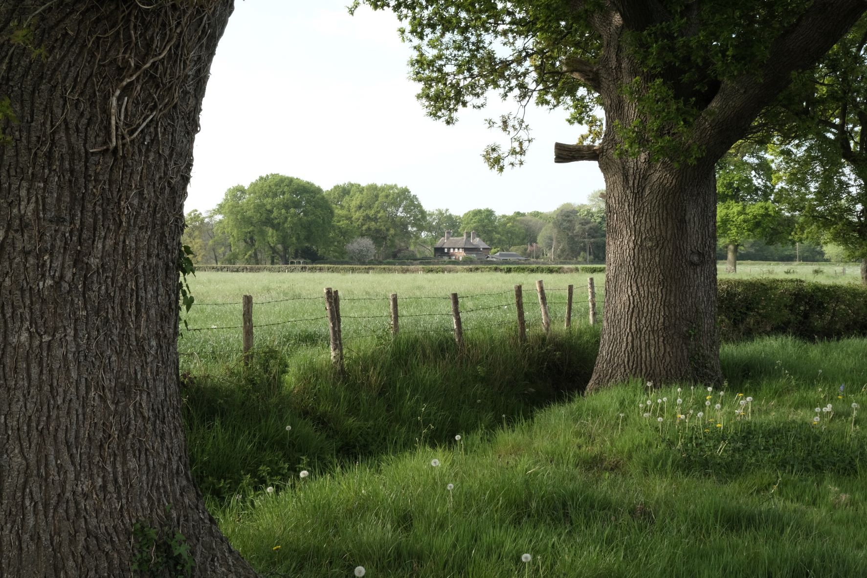 Natural Standard film recipe sample photo