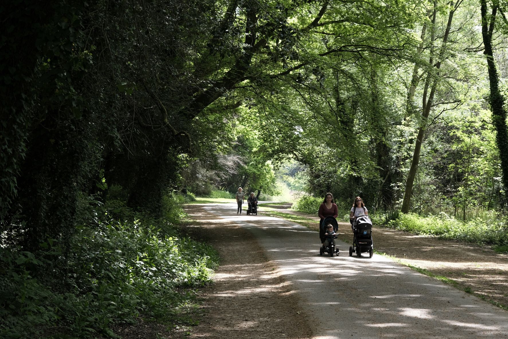 Natural Standard film recipe sample photo